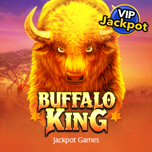 Buffalo King – NextSpin