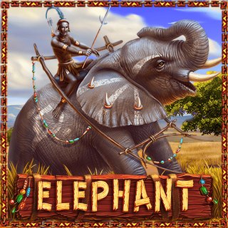 ELEPHANT – PlayStar