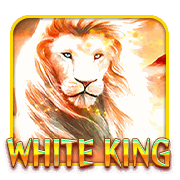 WhiteKing – Pussy888