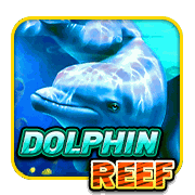 DolphinReef – Pussy888
